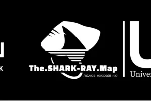 Establecimiento de las primeras áreas de importancia para tiburones y rayas (ISRAs) en el Atlántico español