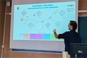 Defensas de trabajos fin de estudios 2024_2025 de Sobresaliente y Matrícula de Honor